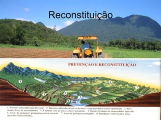 Reconstituição 