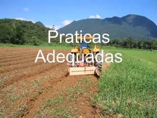Praticas Adequadas 