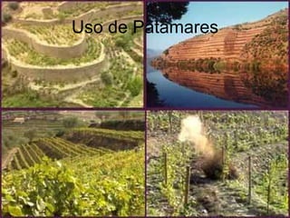 Uso de Patamares 