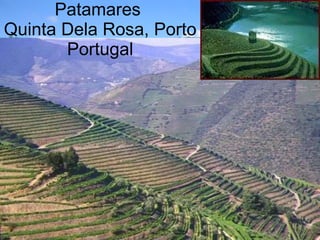 Patamares  Quinta Dela Rosa, Porto Portugal 