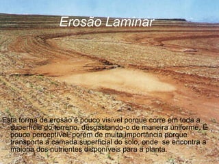 Erosão Laminar Esta forma de erosão é pouco visível porque corre em toda a superfície do terreno, desgastando-o de maneira uniforme. É pouco perceptível, porém de muita importância porque transporta a camada superficial do solo, onde  se encontra a maioria dos nutrientes disponíveis para a planta.  