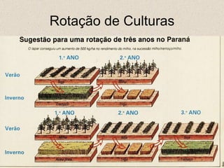 Rotação de Culturas 