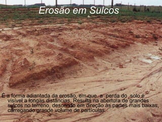 Erosão em Sulcos É a forma adiantada da erosão, em que  a  perda do  solo é visível a longas distâncias. Resulta na abertura de grandes sulcos no terreno, descendo em direção às partes mais baixas, carregando grande volume de partículas .  