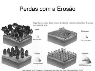 Perdas com a Erosão 