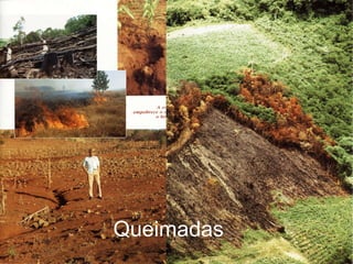 Queimadas 