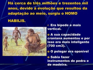 Há cerca de três milhões e trezentos mil anos, devido à evolução que resultou da adaptação ao meio, surgiu o HOMO HABILIS.   Era bípede e mais vertical. A sua capacidade craniana aumentou e por isso era mais inteligente (700 cm3). O polegar era oponível Sabia fazer instrumentos de pedra e de madeira. 