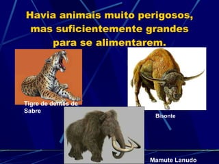 Havia animais muito perigosos, mas suficientemente grandes para se alimentarem. Tigre de dentes de Sabre Mamute Lanudo Bisonte 