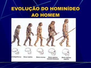 EVOLUÇÃO DO HOMINÍDEO AO HOMEM 