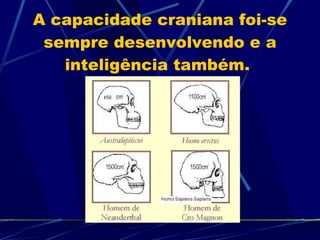 A capacidade craniana foi-se sempre desenvolvendo e a inteligência também.  