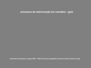 processo de intervenção em canidelo - gaia seminário de projecto | mppau 2003 – 2005 | francisca magalhães | patrícia strecht | teresa corujo 