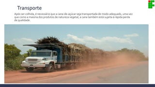 Transporte
Após ser colhida, é necessário que a cana-de-açúcar seja transportada de modo adequado, uma vez
que como a maioria dos produtos de natureza vegetal, a cana também está sujeita à rápida perda
de qualidade.
 