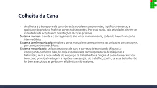 Colheita da Cana

A colheita e o transporte da cana-de-açúcar podem comprometer, significativamente, a
qualidade do produto final e os cortes subsequentes. Por essa razão, tais atividades devem ser
executadas de acordo com orientações técnicas precisas
Sistema manual: o corte e o carregamento são feitos manualmente, podendo haver transporte
intermediário;
Sistema semimecanizado: envolve o corte manual e o carregamento nas unidades de transporte,
por carregadoras mecânicas;
Sistema mecanizado: utiliza cortadoras de cana e carretas de transbordo (Figura 1),
empregando somente mão-de-obra especializada como operadores de máquinas e
tratoristas, sem a necessidade do emprego de trabalhadores braçais. A colheita mecanizada
tem como principal vantagem a rapidez na execução do trabalho, porém, se esse trabalho não
for bem executado as perdas em eficiência serão maiores.
 