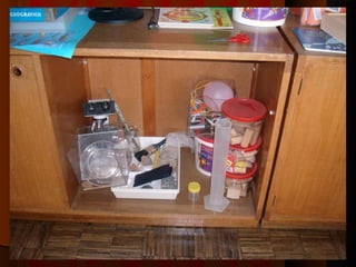 Per una didattica inclusiva (BES e BEN)