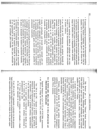 Processo do trabalho renato saraiva