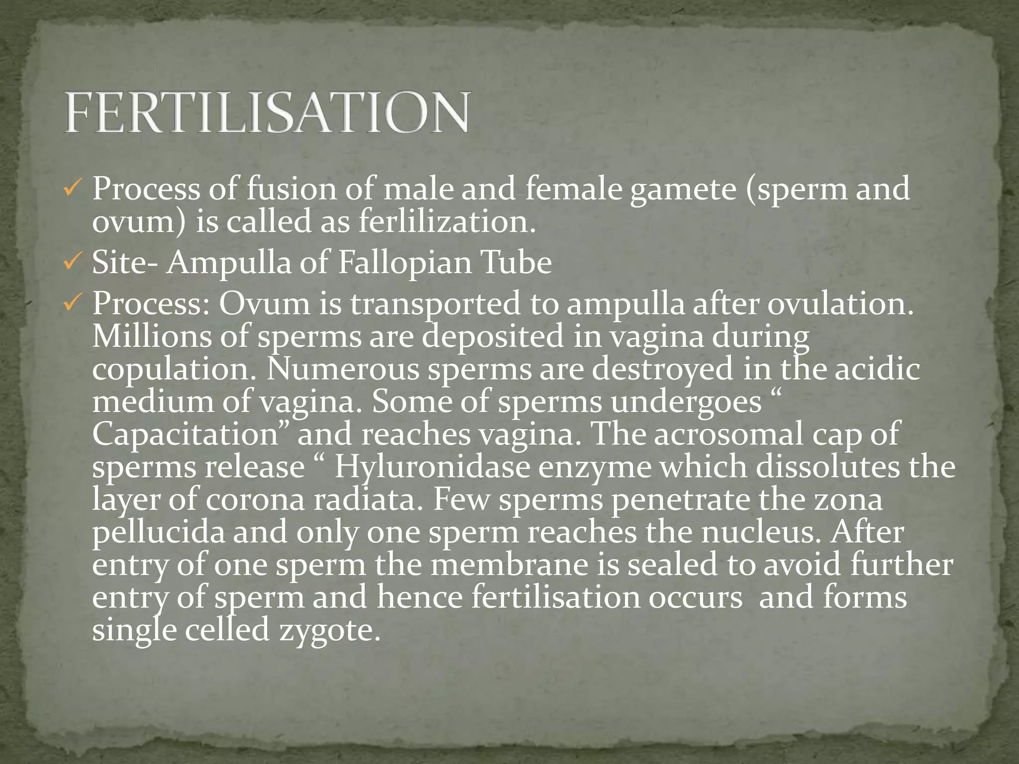  Process of fusion of male and female gamete (sperm and
ovum) is called as ferlilization.
 Site- Ampulla of Fallopian Tube
 Process: Ovum is transported to ampulla after ovulation.
Millions of sperms are deposited in vagina during
copulation. Numerous sperms are destroyed in the acidic
medium of vagina. Some of sperms undergoes “
Capacitation” and reaches vagina. The acrosomal cap of
sperms release “ Hyluronidase enzyme which dissolutes the
layer of corona radiata. Few sperms penetrate the zona
pellucida and only one sperm reaches the nucleus. After
entry of one sperm the membrane is sealed to avoid further
entry of sperm and hence fertilisation occurs and forms
single celled zygote.
 