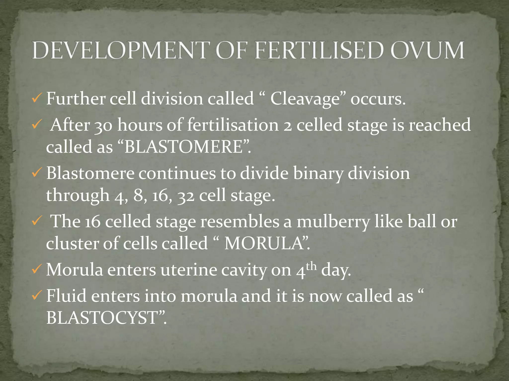  Further cell division called “ Cleavage” occurs.
 After 30 hours of fertilisation 2 celled stage is reached
called as “BLASTOMERE”.
 Blastomere continues to divide binary division
through 4, 8, 16, 32 cell stage.
 The 16 celled stage resembles a mulberry like ball or
cluster of cells called “ MORULA”.
 Morula enters uterine cavity on 4th day.
 Fluid enters into morula and it is now called as “
BLASTOCYST”.
 