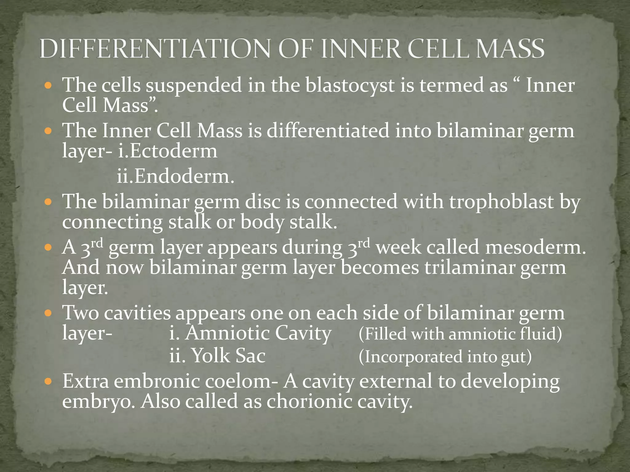  The cells suspended in the blastocyst is termed as “ Inner
Cell Mass”.
 The Inner Cell Mass is differentiated into bilaminar germ
layer- i.Ectoderm
ii.Endoderm.
 The bilaminar germ disc is connected with trophoblast by
connecting stalk or body stalk.
 A 3rd germ layer appears during 3rd week called mesoderm.
And now bilaminar germ layer becomes trilaminar germ
layer.
 Two cavities appears one on each side of bilaminar germ
layer- i. Amniotic Cavity (Filled with amniotic fluid)
ii. Yolk Sac (Incorporated into gut)
 Extra embronic coelom- A cavity external to developing
embryo. Also called as chorionic cavity.
 