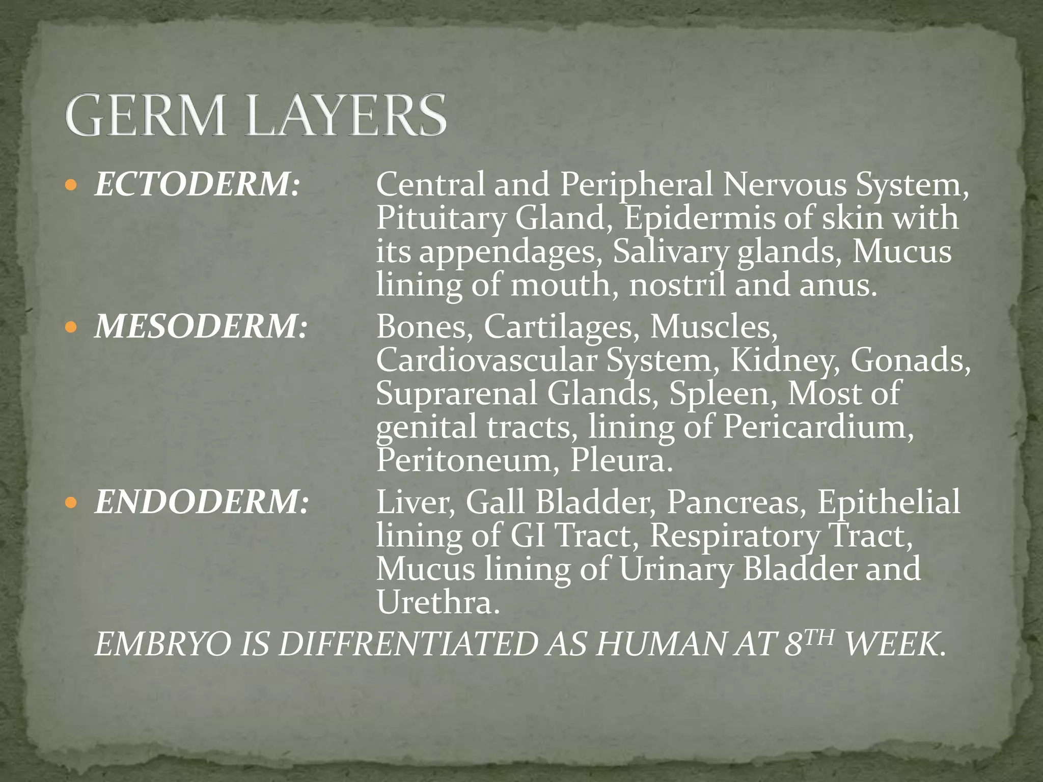  ECTODERM: Central and Peripheral Nervous System,
Pituitary Gland, Epidermis of skin with
its appendages, Salivary glands, Mucus
lining of mouth, nostril and anus.
 MESODERM: Bones, Cartilages, Muscles,
Cardiovascular System, Kidney, Gonads,
Suprarenal Glands, Spleen, Most of
genital tracts, lining of Pericardium,
Peritoneum, Pleura.
 ENDODERM: Liver, Gall Bladder, Pancreas, Epithelial
lining of GI Tract, Respiratory Tract,
Mucus lining of Urinary Bladder and
Urethra.
EMBRYO IS DIFFRENTIATED AS HUMAN AT 8TH WEEK.
 