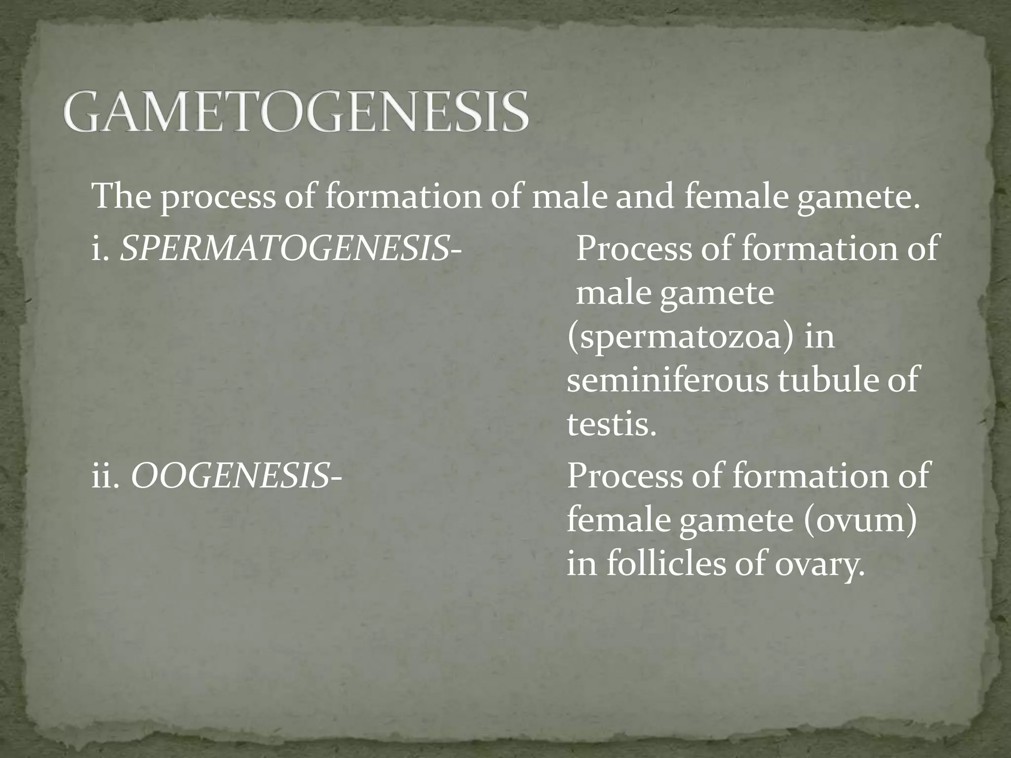 The process of formation of male and female gamete.
i. SPERMATOGENESIS- Process of formation of
male gamete
(spermatozoa) in
seminiferous tubule of
testis.
ii. OOGENESIS- Process of formation of
female gamete (ovum)
in follicles of ovary.
 