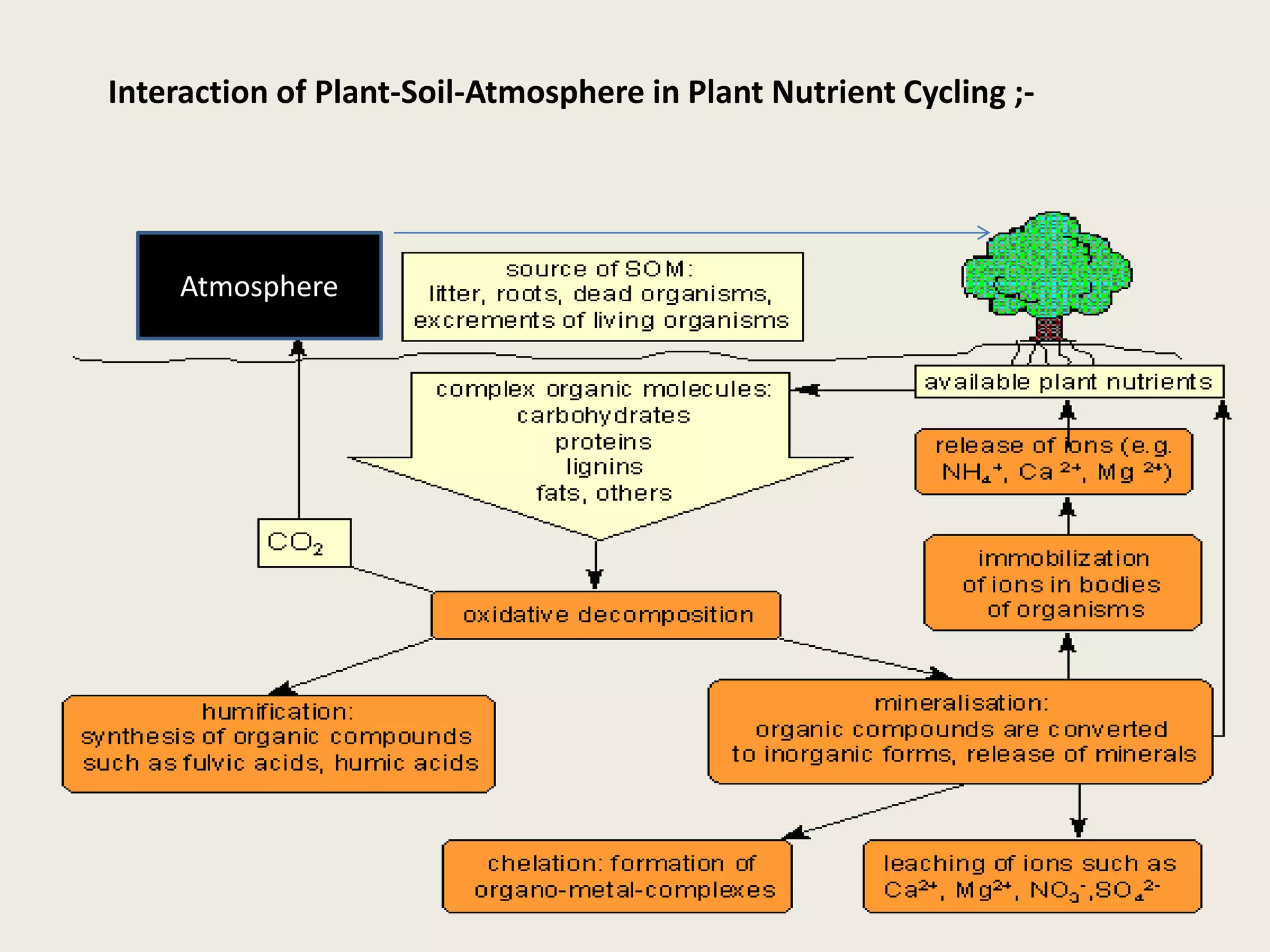 Atmosphere
Interaction of Plant-Soil-Atmosphere in Plant Nutrient Cycling ;-
 