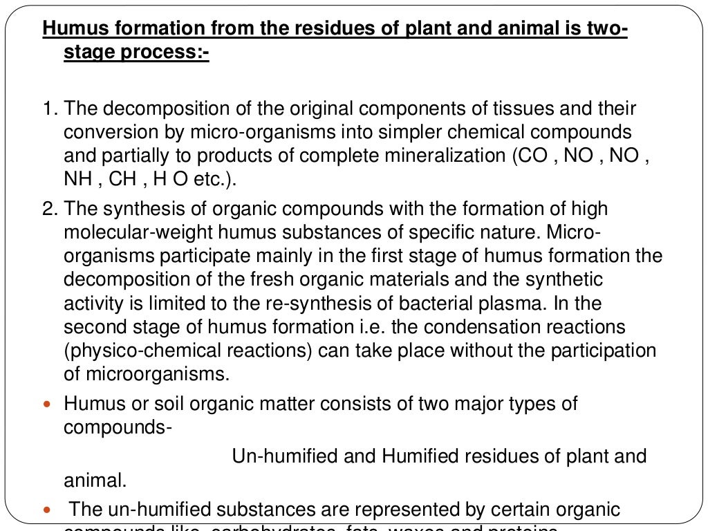 Process of humus formation