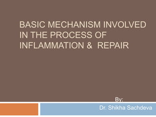 BASIC MECHANISM INVOLVED
IN THE PROCESS OF
INFLAMMATION & REPAIR
By:
Dr. Shikha Sachdeva
 