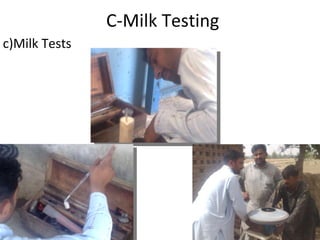 C-Milk Testing c)Milk Tests 