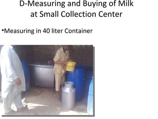   D-Measuring and Buying of Milk  at Small Collection Center Measuring in 40 liter Container 