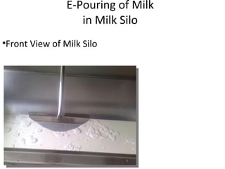   E-Pouring of Milk  in Milk Silo Front View of Milk Silo  