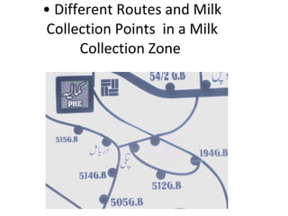 Different Routes and Milk Collection Points  in a Milk Collection Zone  