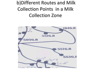   b)Different Routes and Milk Collection Points  in a Milk Collection Zone 
