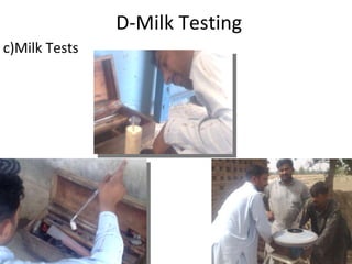 D-Milk Testing c)Milk Tests 