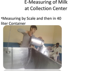   E-Measuring of Milk  at Collection Center Measuring by Scale and then in 40 liter Container 