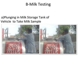   B-Milk Testing   a)Plunging in Milk Storage Tank of Vehicle  to Take Milk Sample 