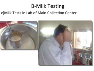 B-Milk Testing c)Milk Tests in Lab of Main Collection Center 