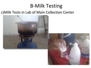 B-Milk Testing c)Milk Tests in Lab of Main Collection Center 