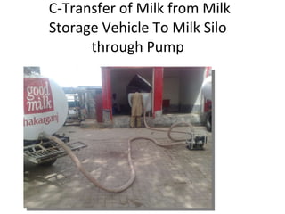   C-Transfer of Milk from Milk Storage Vehicle To Milk Silo through Pump 