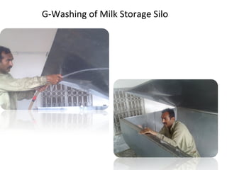   G-Washing of Milk Storage Silo 