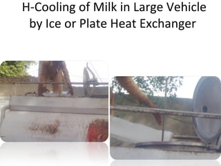H-Cooling of Milk in Large Vehicle by Ice or Plate Heat Exchanger  