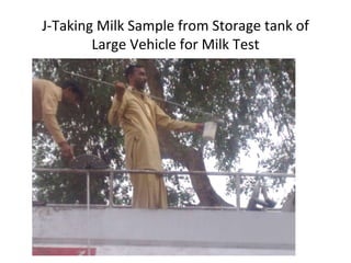   J-Taking Milk Sample from Storage tank of Large Vehicle for Milk Test 