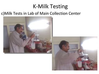 K-Milk Testing c)Milk Tests in Lab of Main Collection Center 