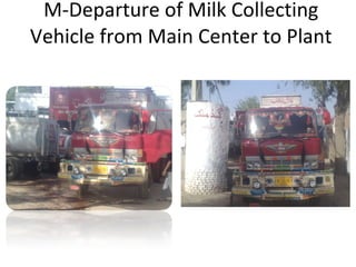 M-Departure of Milk Collecting Vehicle from Main Center to Plant 