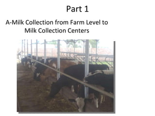Part 1 A-Milk Collection from Farm Level to Milk Collection Centers 