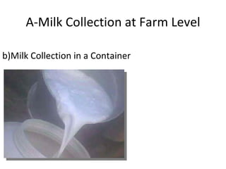 b)Milk Collection in a Container A-Milk Collection at Farm Level 
