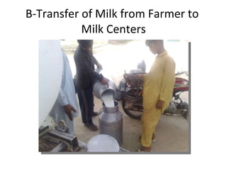 B-Transfer of Milk from Farmer to  Milk Centers 