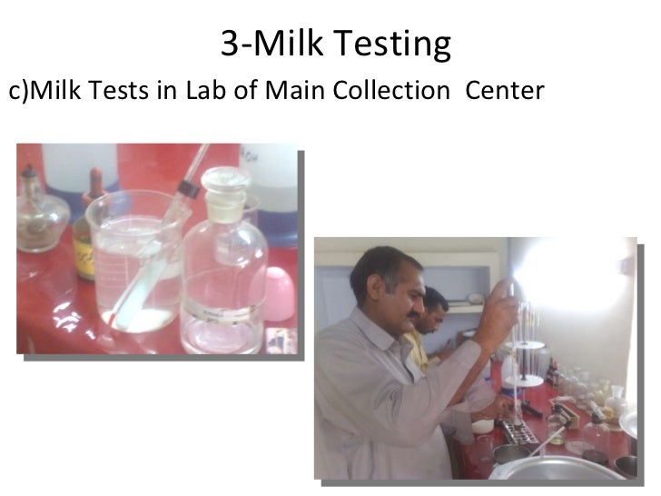 Process Of Milk Collection