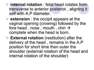 Internal Rotation Normal Range process of Normal labor (1).ppt