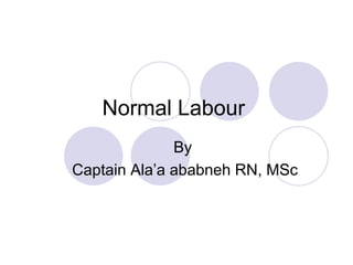 Normal Labour
By
Captain Ala’a ababneh RN, MSc
 