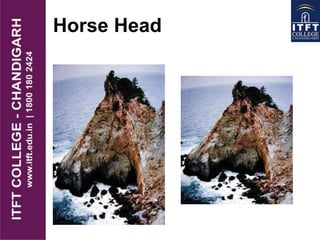 Horse Head
 