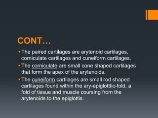 CONT…
The paired cartilages are arytenoid cartilages,
corniculate cartilages and cuneiform cartilages.
The corniculate are small cone shaped cartilages
that form the apex of the arytenoids.
The cuneiform cartilages are small rod shaped
cartilages found within the ary-epiglotttic-fold, a
fold of tissue and muscle coursing from the
arytenoids to the epiglottis.
 